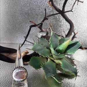 Size 7 &3/4 dendrite opal Ring so unique. 925